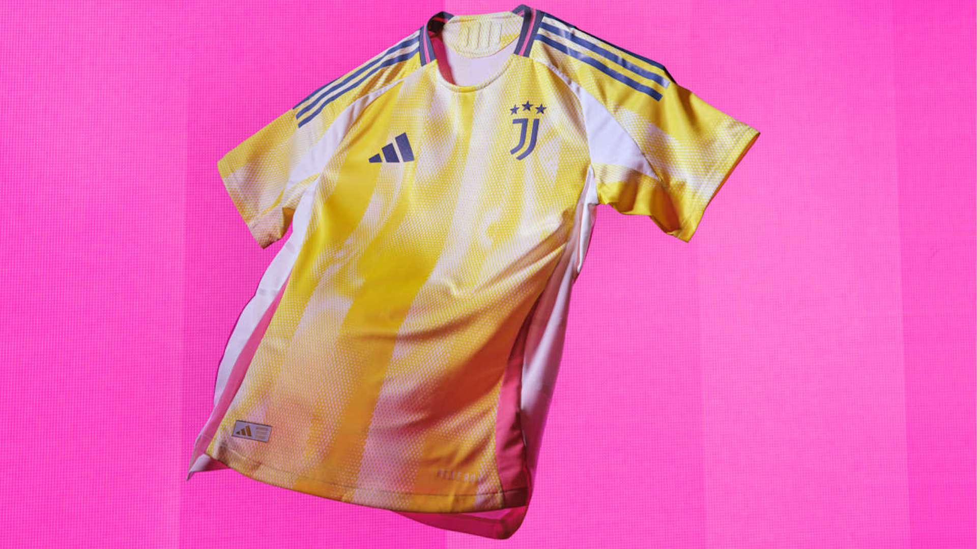 東北大區賽球隊信息全面解析.