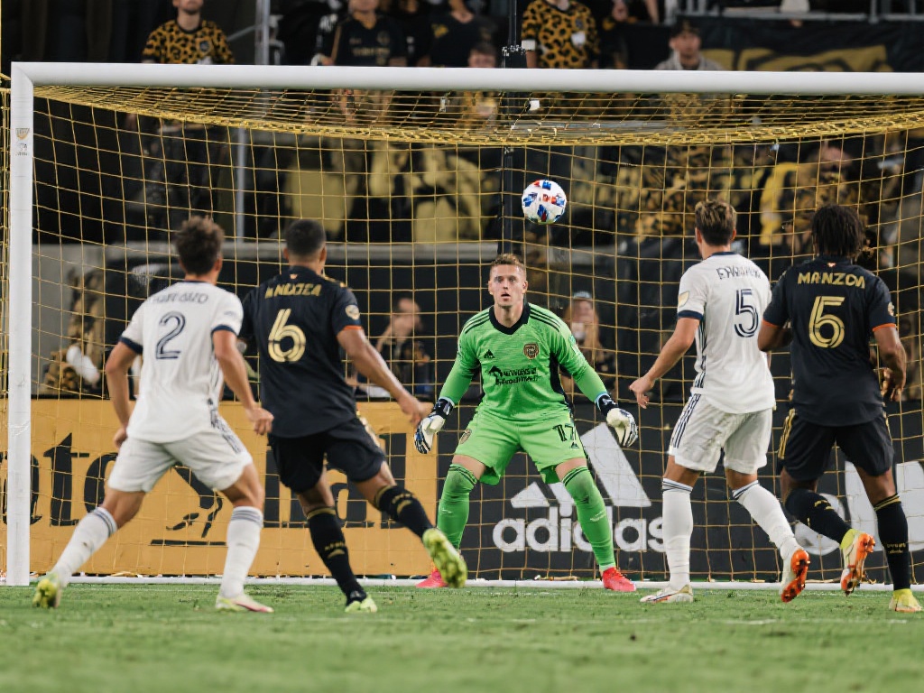 未来可期 未来可期